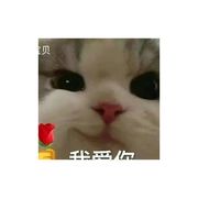 青泗