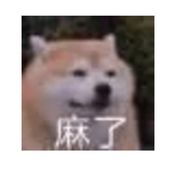 wsdff