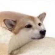 下北泽の也瘦