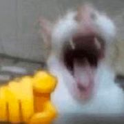 卢锅巴