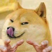 鱼儿叁