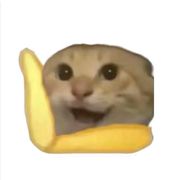 不知道