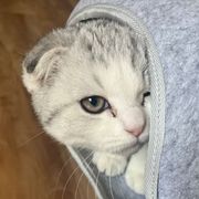 为何还喜欢我 我这种无赖