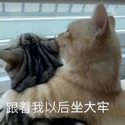 麟深遇见鹿