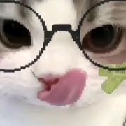 奶酪玩蛋仔