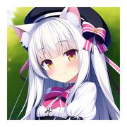 猫奈寻