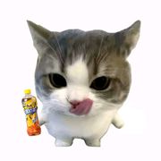 ghfhh