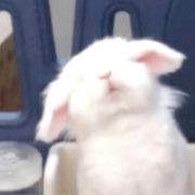 短歌>＊