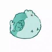 瑾