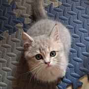 潜意识失意
