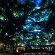 古或今