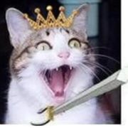 四世三公，门多故吏的貓爺