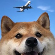欧欧欧欧欧