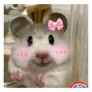 小许