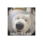 福地扫荡无奇遇