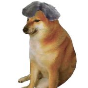 屑afu