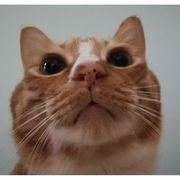 一觉睡到自然醒