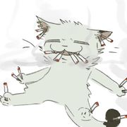 卷心菜仙贝