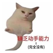 📦🔥吼叫信快递