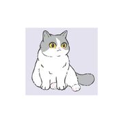 阿星星星星星啊