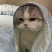 六升级+五六七+最高榜一+数据