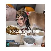 加尔德.里勒斯.乱世的放浪者