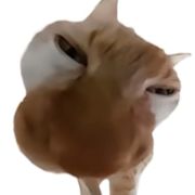 个人昵称