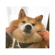 琛墨轩