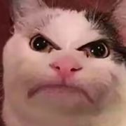 萌新