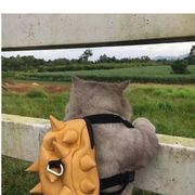 .....g