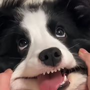 jjj（第四次相遇）