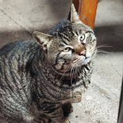 蓝天的梦