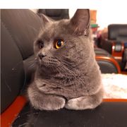 牛逼ge