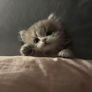 初.