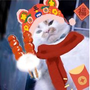 圆圆太难了