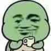 老实内向的小呆龟