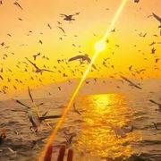 热依拉心爱你抱抱你🤩🐱