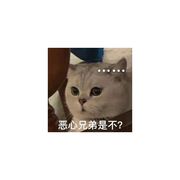 ╭⌒半夏微凉♀