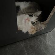 手机用户102135697