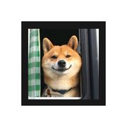 纯