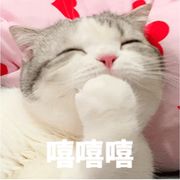 小猫山竹