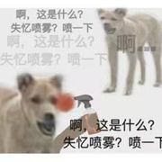 补偿失忆之神