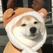 残殇