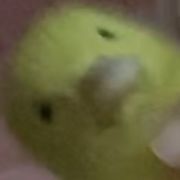 哆啦B梦