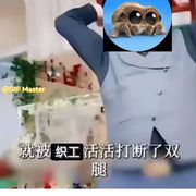 只是点开了头像