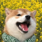 怎么才能快速入眠