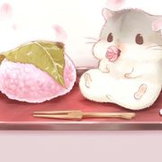 无限轮回