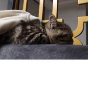 手机用户56137860