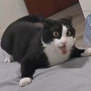 从此做条咸鱼可好