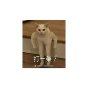 咕咕鸠占鹊巢咖啡